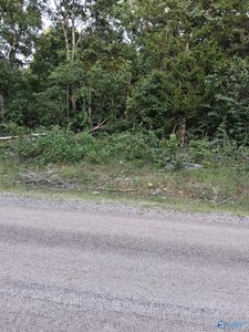 County Road 84, Danville, AL, 35619