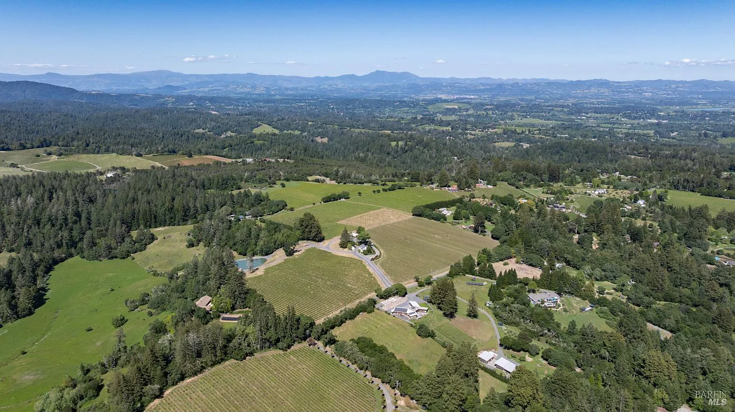 14640 Morelli Lane - Photo 4