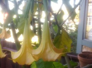 1244 Allston Way, Berkeley, CA 94702