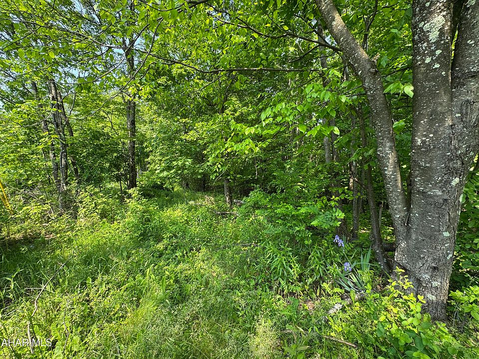 2nd image of Hillside Dr