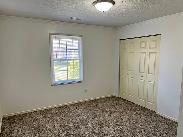 3 Stortz Dr — Photo 18