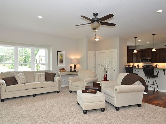 Plush Carpeting in LR