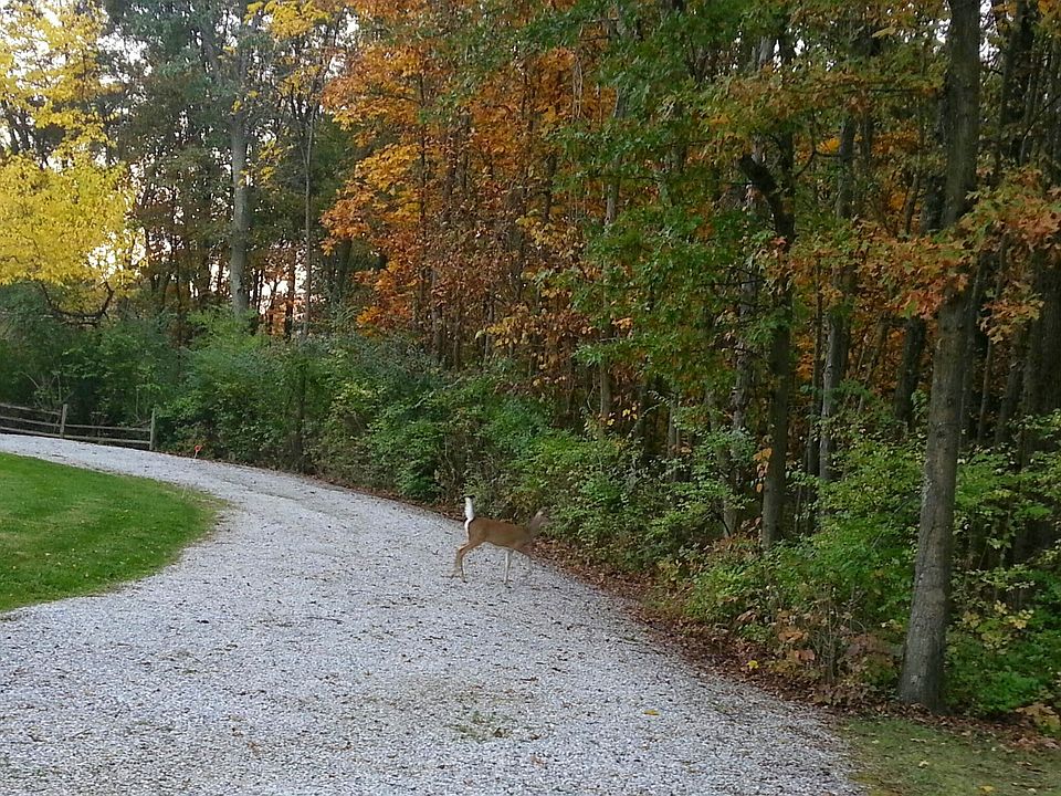 2nd image of 7349 Lee Rd