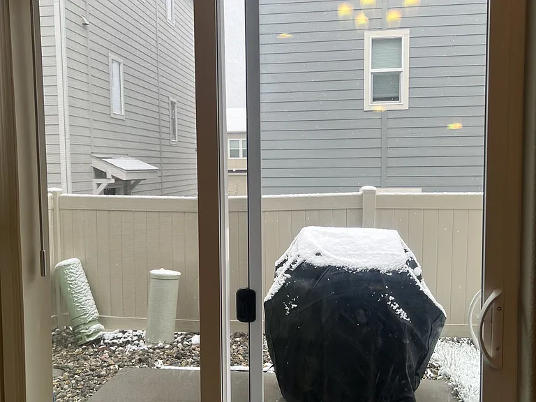 4223 Samaritan Loop — Photo 6