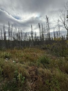 LOT 2 Birch Ln, Pickerel, WI, 54465