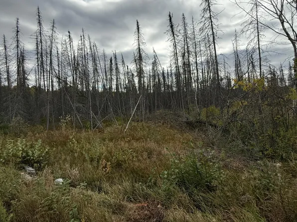 LOT 2 Birch Ln, Pickerel, WI 54465