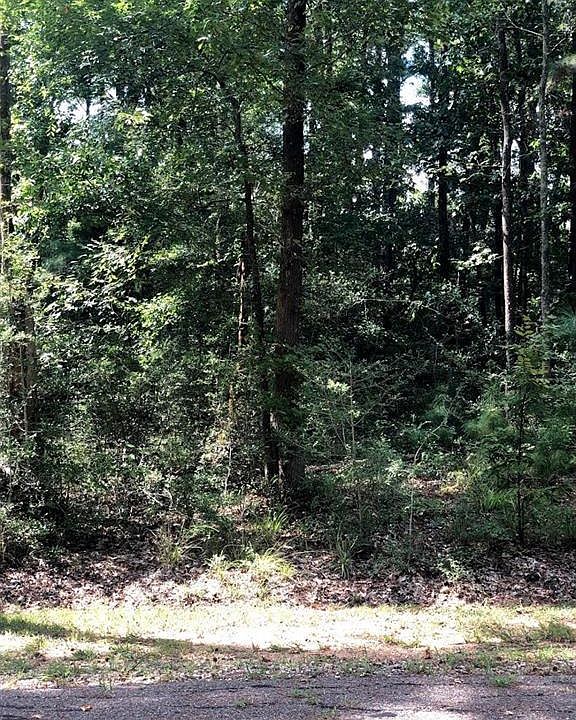 2nd image of 46 Green Tree Dr