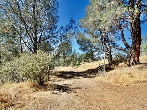 12507 Angel Wing Ln, Smartsville, CA 95977