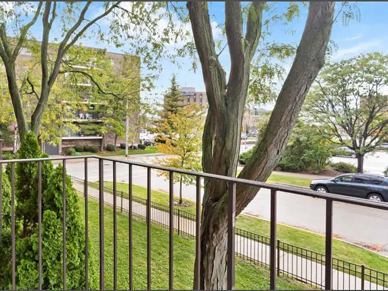550 Graceland Ave #5 — Photo 15