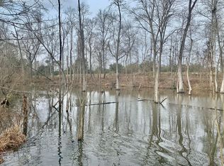 0 Santee Lumber Rd, Santee, SC 29142