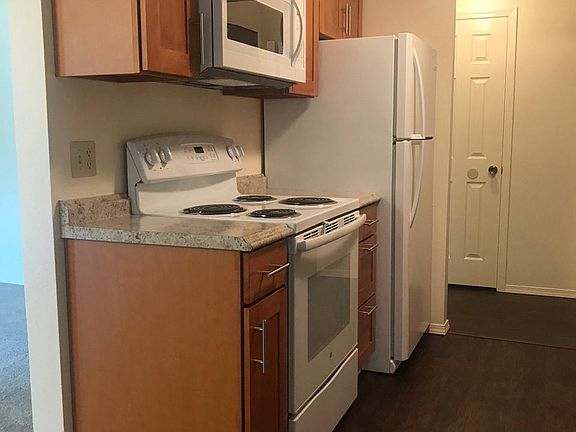 New countertops, cabinets, oven, stove, microwave, fridge, and flooring