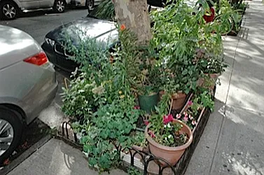 Rented by Boerum Hill Realty