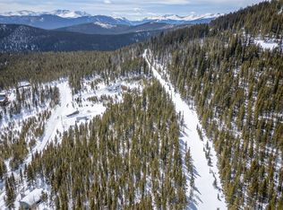 1234 Glory Hole Rd #395, Idaho Springs, CO 80452