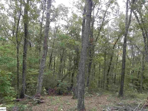 27 Northslope View Dr, Landrum, SC 29356