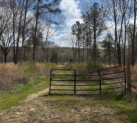2nd image of Calico Rd