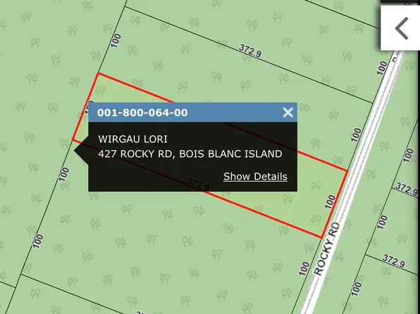 427 Rocky Rd, Bois Blanc Island, MI 49775