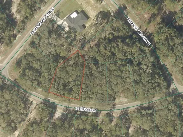 Sequoia Loop Dr Lot 2, Ocklawaha, FL 32179