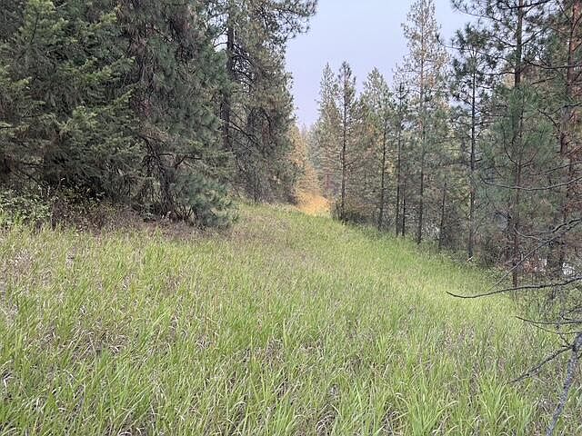 1st image of 2XX Deadman Creek Rd