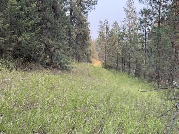2XX Deadman Creek Rd, Kettle Falls, WA 99141