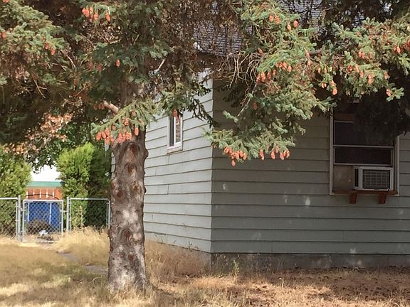 3rd image of 623 Birch Ave