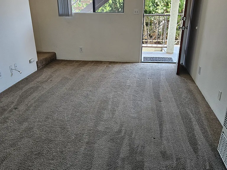 1140 Belmont Ave #8 — Photo 15