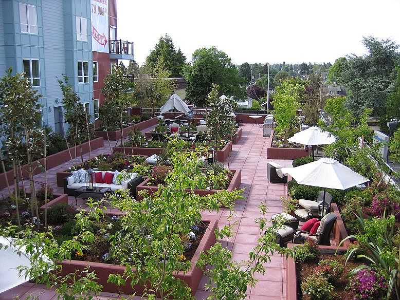 View Over Looking Terrace