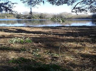 10017 Frierson Lake Dr, Hudson, FL 34669