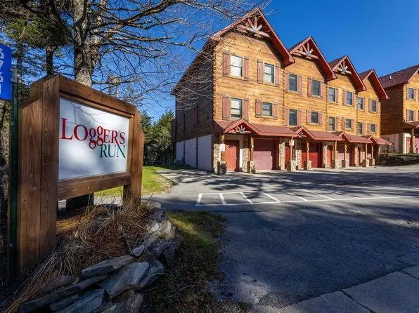 23 Loggers Ln, Slatyfork, WV 26291