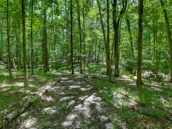 Bright Myers Rd, Blythewood, SC 29016