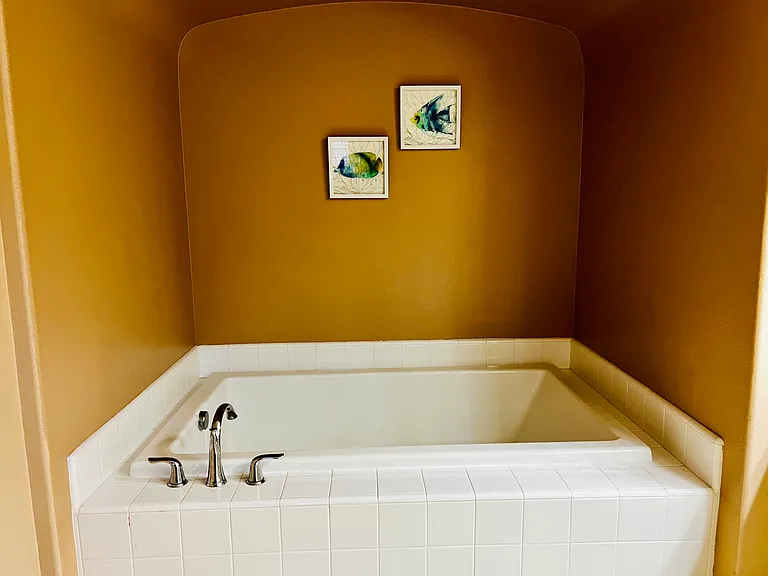 Master bathroom - Bathtub