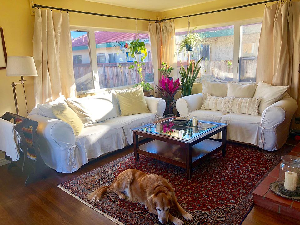 Living room with lots of natural light