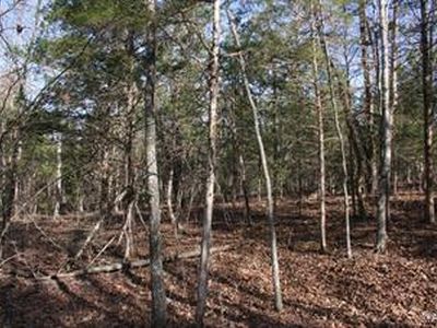 0 Green Gate Rd, Bourbon, MO, 65441