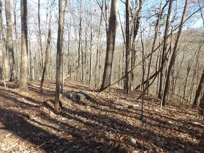 Gaylor Rd, La Follette, TN, 37766