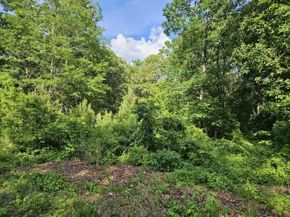 Stukes Rd, Manning, SC 29102