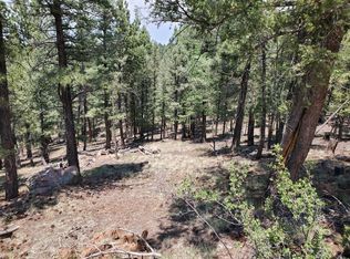 137 Gold Hill Way, Florissant, CO 80816