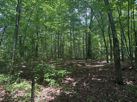4th image of Wilder Hwy