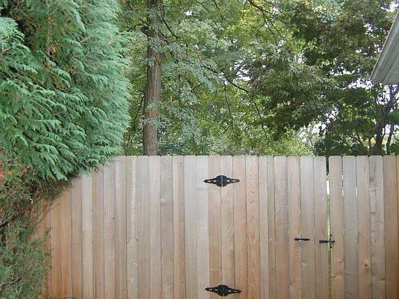 Cedar Fence