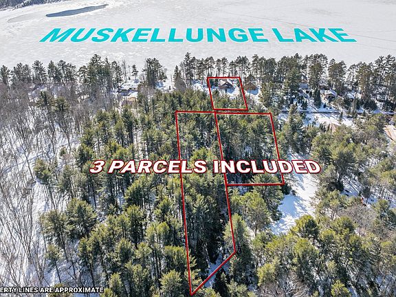 4th image of 2133 Lofty Pines Ln