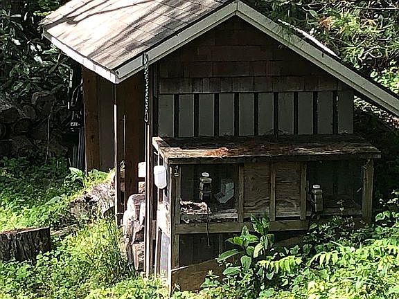 Woodshed