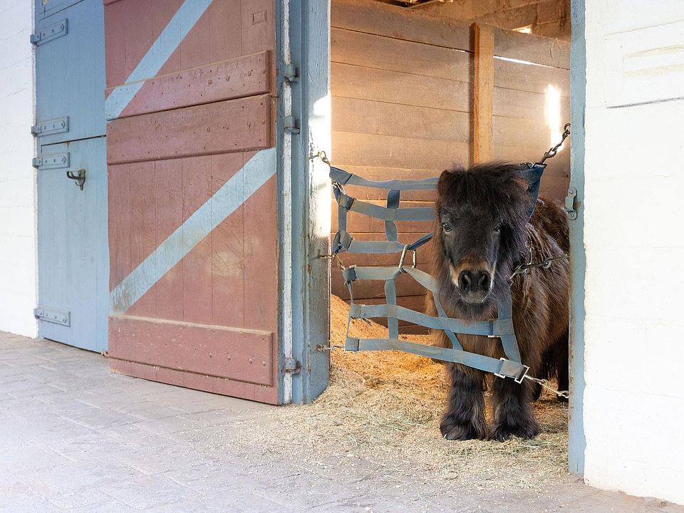 55th image of 8199 Scottland Farm