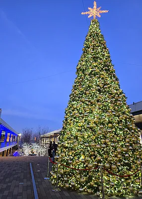 Rented by Brooklyn Property Group LLC | media 19