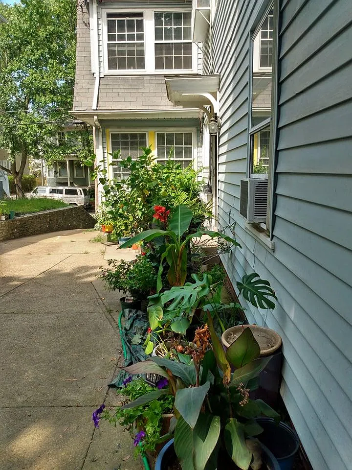 2 bed, 1900 sqft, $2,900 — Photo 2