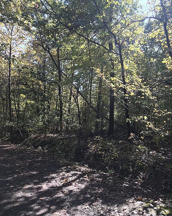 2nd image of 8 Colmonell Ln