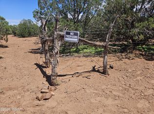 3981 Apache Rd, Snowflake, AZ 85937