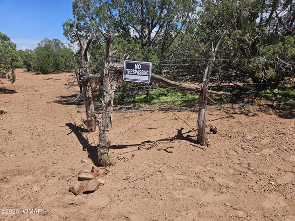 3981 Apache Rd, Snowflake, AZ 85937