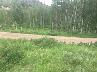 27125 St Louis Place, Steamboat lake, CO 80477