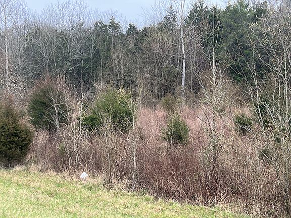 3rd image of 0 Alexandria Hwy