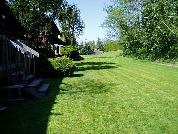 Back yard from back deck