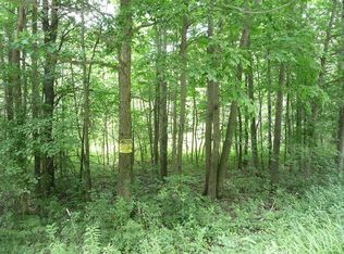 Lot31/32 Steam Mill Rd, Odessa, NY 14869