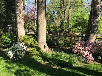 Woolsey Dr — Photo 30